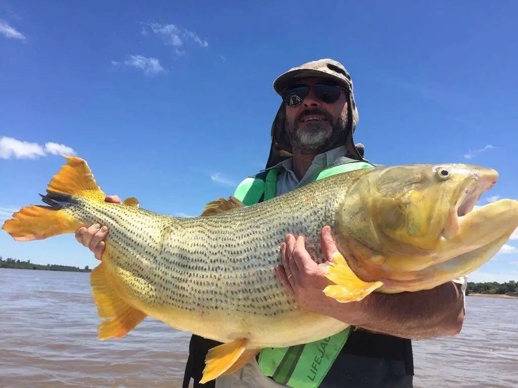 Cast and Blast gallery image 3