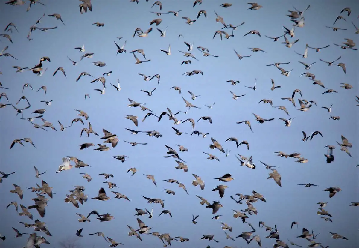 Cast and Blast gallery image 6