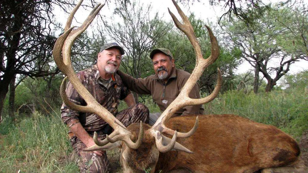 Free-range Red Stag hunt gallery image 3