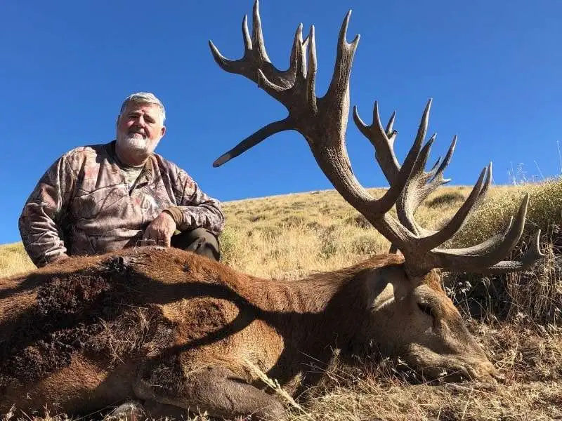 Free-range Red Stag hunt gallery image 8