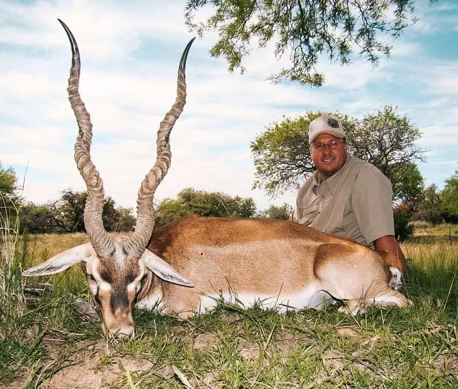 One day Blackbuck special gallery image 2